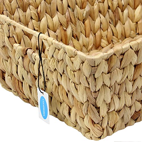 Large Square Hyacinth Storage Baskets with Handles, 2-Pack A20768