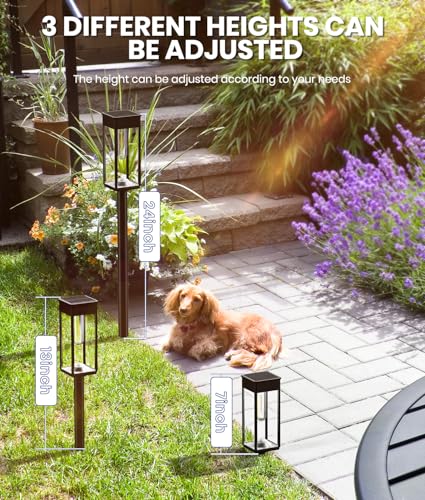 Solar Pathway Lights Outdoor, IP65 Waterproof, Auto On/Off Z346