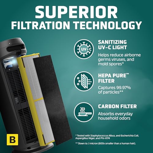 Air Purifier with HEPA Filter for Large Rooms, Removes Smoke, Pet Dander, Pollen, and Odors E469