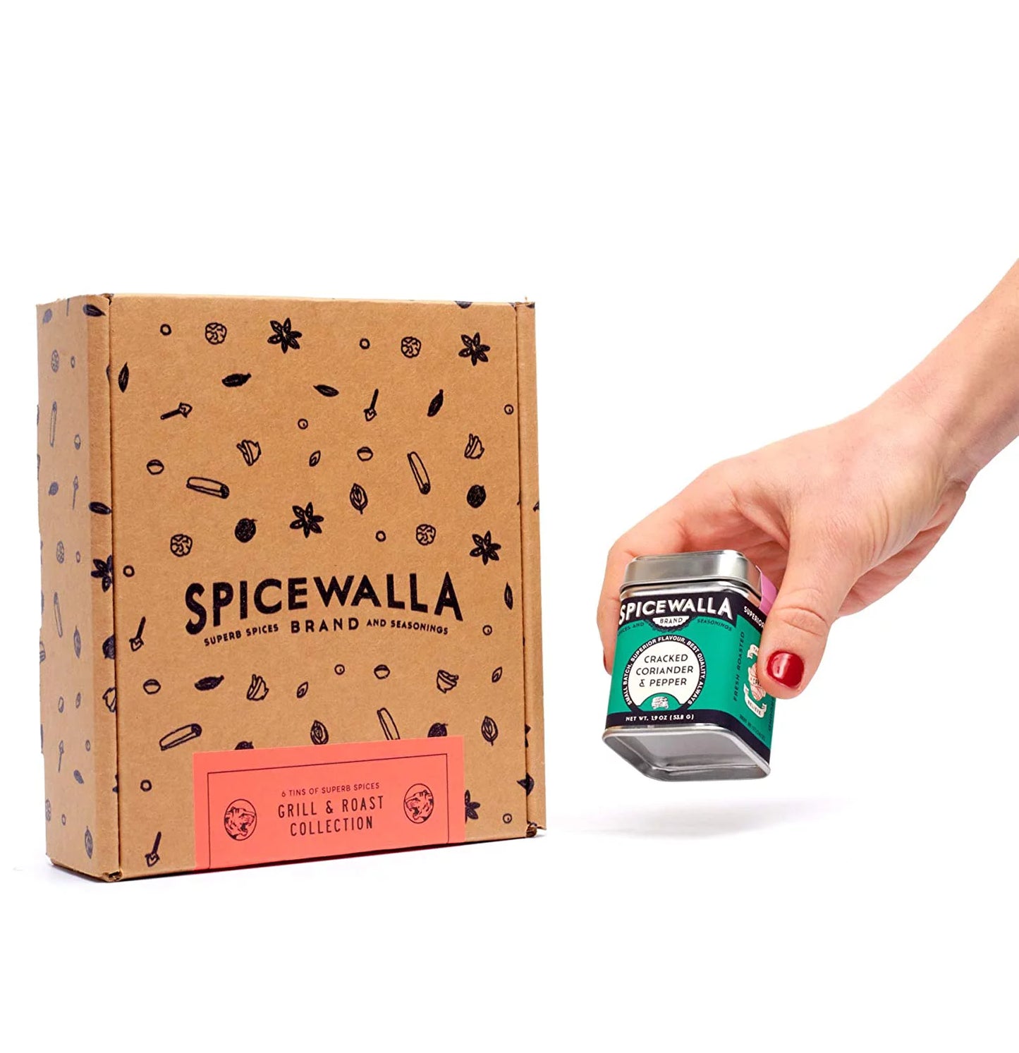 Grill Seasoning 6 Pack for Steak, Poultry, Pork & Vegetables Y463