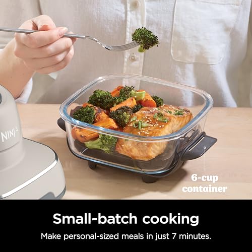 Air Fryer with Glass Containers, 4 QT & 6 Cup, Dishwasher Safe Y888