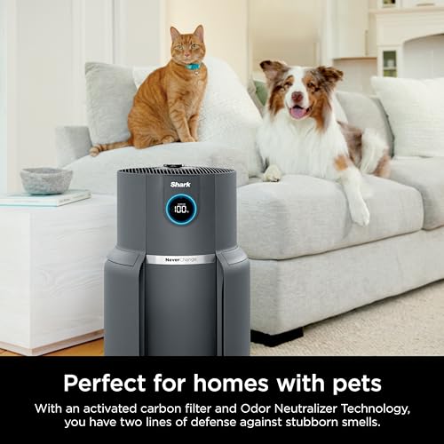 Air Purifier for Home Large Room with HEPA Filter, Covers 650 Sq. Ft L965