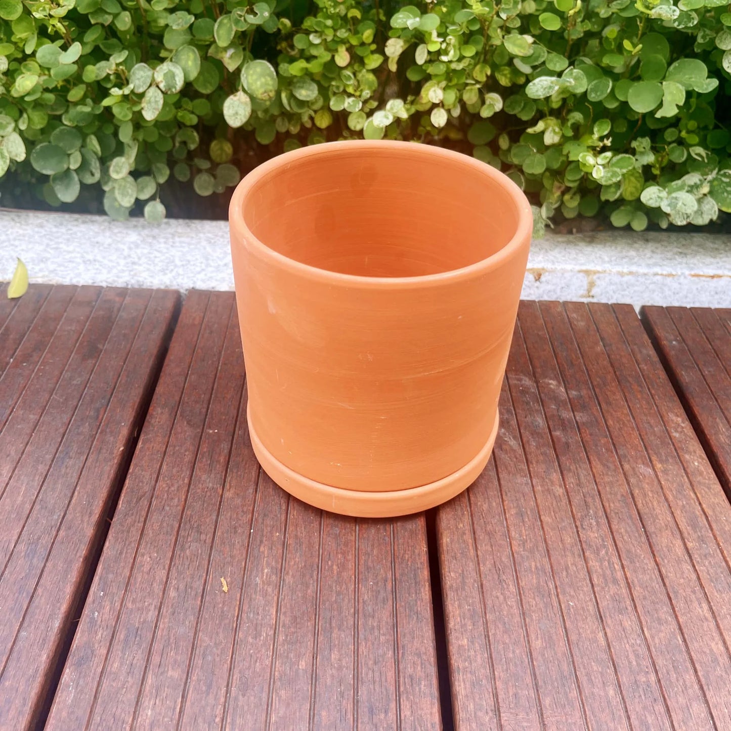 Terracotta Flower Pots with Drainage Holes, 3 Count W9403