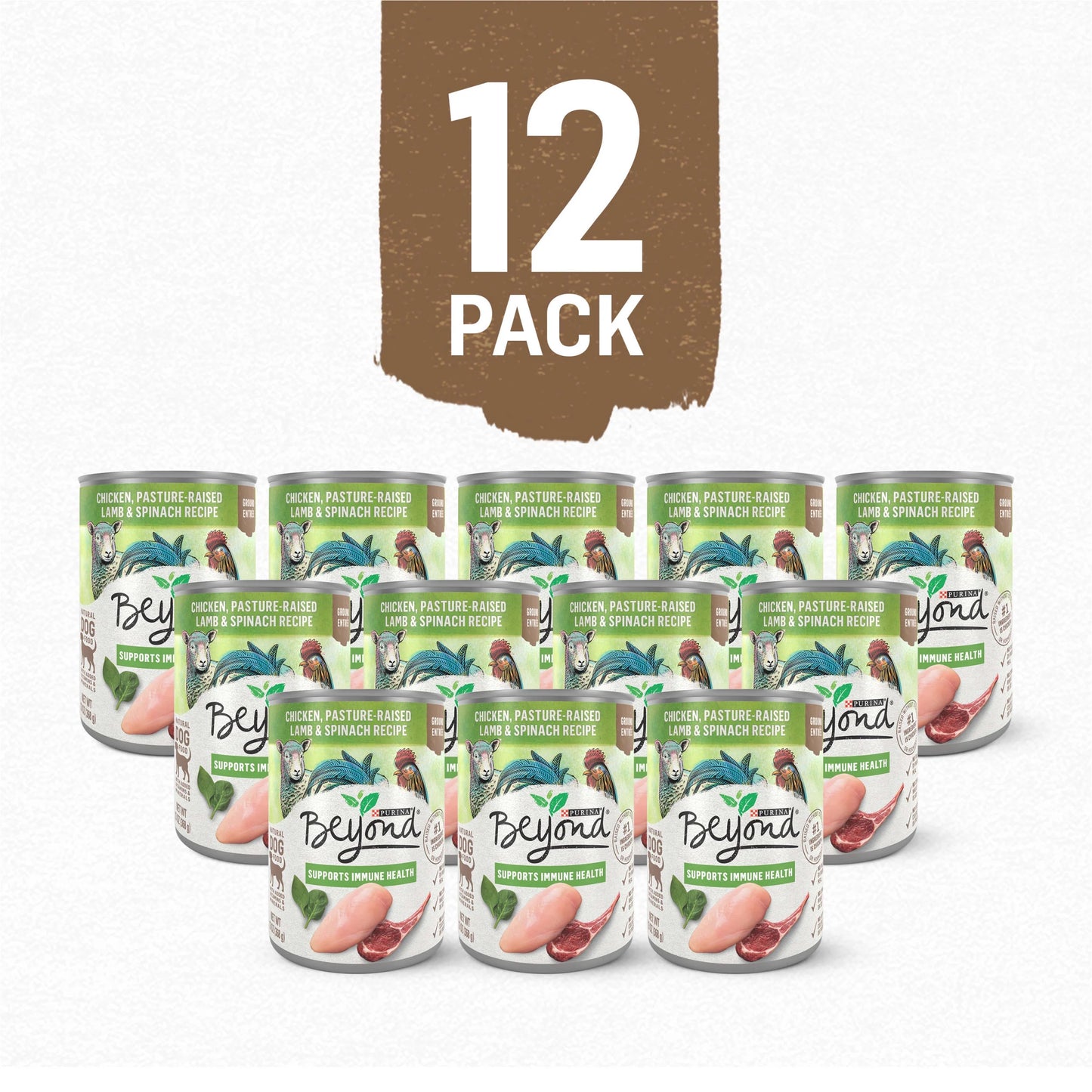 Wet Dog Food Chicken Lamb Spinach, 13 oz Cans (12 Pack) R17836