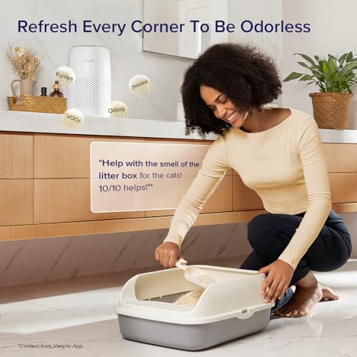 Air Purifier for Bedroom Home, 3-in-1 Filter Cleaner with Fragrance Sponge for Better Sleep, Portable S3072