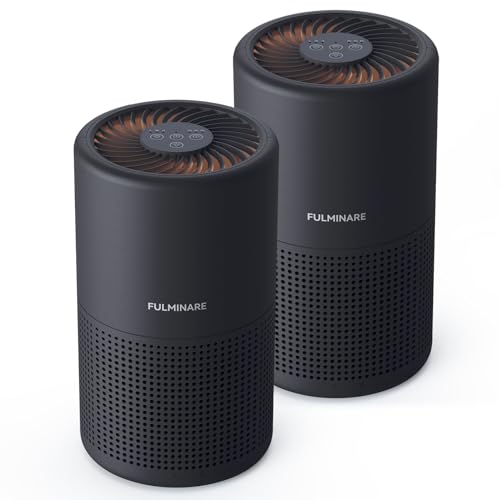 H13 True HEPA Air Purifier for Bedroom, Quiet with Night Light R447898